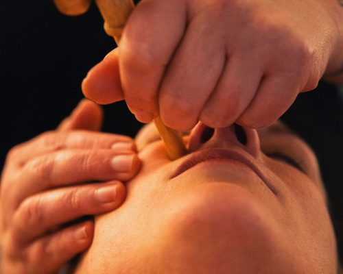 Formation au facialisme avec Dorothée DANIEL au Singulier Universel à Lyon : démonstration pratique d'une technique de massage du visage sur modèle.